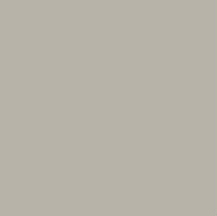 RAL-7044-silk-gray-lacquered-ash.jpg